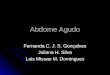 Abdome Agudo Fernanda C. J. S. Gonçalves Juliana H. Silva Lais Missae M. Domingues
