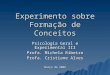 Experimento sobre Formação de Conceitos Psicologia Geral e Experimental III Profa. Michela Ribeiro Profa. Cristiane Alves Março de 2008