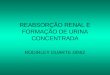 REABSORÇÃO RENAL E FORMAÇÃO DE URINA CONCENTRADA RODIRLEY DUARTE DINIZ