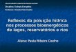 Reflexos da poluição hídrica nos processos bioenergéticos de lagos, reservatórios e rios Aluna: Paula Ribeiro Coelho Universidade Federal de Minas Gerais