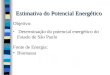 Estimativa do Potencial Energético Objetivo: Determinação do potencial energético do Estado de São Paulo Fonte de Energia: Biomassa