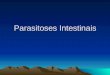 Parasitoses Intestinais. Referência.Melo MCB et al. Parasitoses Intestinais. In: Leão E et al. Pediatria Ambulatorial.Coopmed 5ed. 2013 B.Horizonte, cap