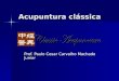Acupuntura clássica Prof. Paulo Cesar Carvalho Machado Junior