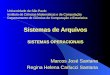 Sistemas de Arquivos SISTEMAS OPERACIONAIS Marcos José Santana Regina Helena Carlucci Santana Universidade de São Paulo Instituto de Ciências Matemáticas