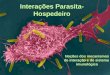 Interações Parasita- Hospedeiro 1 Noções dos mecanismos de interação e do sistema imunológico