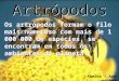 Artrópodos Os artrópodos formam o filo mais numeroso com mais de 1 000 000 de espécies, se encontram em todos os ambientes do planeta. Abelha – Apis melifera