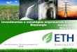 Investimentos e estratégias empresariais da ETH Bioenergia Rio de Janeiro, 28 de novembro de 2008 Fernando Ribeiro
