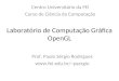 Laboratório de Computação Gráfica OpenGL Centro Universitário da FEI Curso de Ciência da Computação Prof. Paulo Sérgio Rodrigues psergio
