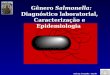 Gênero Salmonella: Diagnóstico laboratorial, Caracterização e Epidemiologia Sueli Ap. Fernandes - IAL/SP