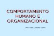 COMPORTAMENTO HUMANO E ORGANIZACIONAL Prof. Suely Lamarão Corrêa