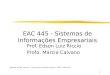 1 EAC 445 - Sistemas de Informações Empresariais Prof. Edson Luiz Riccio Profa. Marcia Calvano Adaptado de Hall, James A., Accounting Information Systems