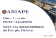 Março, 2009 Cinco Anos do Marco Regulatório Visão dos Autoprodutores de Energia Elétrica
