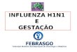 INFLUENZA H1N1 E GESTAÇÃO. ÓBITOS POR SARG POR INFLUENZA SAZONAL E H1N1, SEGUNDO PRESENÇA DE FATORES DE RISCO NO BRASIL, 2009