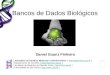 Bancos de Dados Biológicos Daniel Guariz Pinheiro Laboratório de Genética Molecular e Bioinformática (  )