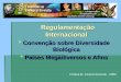 Regulamentação Internacional Regulamentação Internacional Convenção sobre Diversidade Biológica Convenção sobre Diversidade Biológica Países Megadiversos