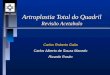 Artroplastia Total do Quadril Revisão Acetabulo Carlos Roberto Galia Carlos Alberto de Souza Macedo Ricardo Rosito GCQ - HCPA