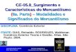 CE-05.8_Surgimento e Características do Mercantilismo 1 CE-05.8_Surgimento e Características do Mercantilismo (8a. Parte) – Modalidades e Significados