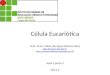 Célula Eucariótica Prof. M.Sc. Fábio Henrique Oliveira Silva fabio.silva@svc.ifmt.edu.br  Aula 3 parte 2 2011.1