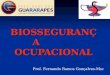 BIOSSEGURANÇA OCUPACIONAL Prof. Fernando Ramos Gonçalves-Msc