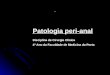  Patologia peri-anal Disciplina de Cirurgia Clínica 4º Ano da Faculdade de Medicina do Porto