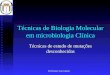 Prof.Doutor José Cabeda Técnicas de Biologia Molecular em microbiologia Clínica Técnicas de estudo de mutações desconhecidas