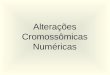 Alterações Cromossômicas Numéricas. Cariótipo Masculino Normal (46,XY)