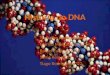 História do DNA Trabalho realizado por: Marília Morgadinho nº14 Rafael Cardoso nº17 Sónia Reis nº20 Tiago Rodrigues nº22