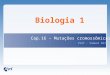 Biologia 1 Cap.16 – Mutações cromossômicas Prof.: Samuel Bitu