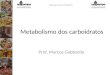 Campus Dom Pedrito Metabolismo dos carboidratos Prof. Marcos Gabbardo