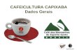 CAFEICULTURA CAPIXABA Dados Gerais. O CAFÉ NO ESPÍRITO SANTO 490 mil hectares 1,16 bilhão de pés de café 11,5 milhões de sacas (Conab, 2011) 27% da safra