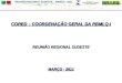 REUNIÃO REGIONAL SUDESTE - MARÇO - 2011 Pg. 1 - 123 CORED – COORDENAÇÃO GERAL DA RBMLQ-I REUNIÃO REGIONAL SUDESTE MARÇO - 2011
