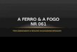 PARA CONHECIMENTO E REFLEXÃO DA SOCIEDDADE BRASILEIRA A FERRO & A FOGO NR 061