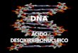 DNA ÁCIDO DESOXIRRIBONUCLEICO. DNA Ácido nucleico em dupla hélice que contém as instruções usadas no desenvolvimento e funcionamento de todos os seres