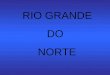 RIO GRANDE DO NORTE BRASIL Rio Grande do Norte Natal Litoral Norte Costa Branca