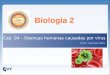 Biologia 2 Cap. 04 – Doenças humanas causadas por vírus I Prof.: Samuel Bitu