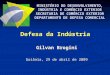 Defesa da Indústria Gilvan Brogini Goiânia, 29 de abril de 2009 MINISTÉRIO DO DESENVOLVIMENTO, INDÚSTRIA E COMÉRCIO EXTERIOR SECRETARIA DE COMÉRCIO EXTERIOR