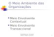 Compilado por: Fernando Bilale & Nadim Cassamo1 O Meio Ambiente das Organizações Meio Envolvente Contextual Meio Envolvente Transaccional
