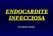 ENDOCARDITE INFECCIOSA Luiz Eduardo Camanho. Endocardite Infecciosa Sítio inicial: endotélio (valvar/ prótese cardíaca/ artéria: endarterite/ coarctação