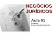 NEGÓCIOS JURÍDICOS Aula 01 Professor Brunno Pandori Giancoli