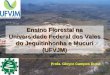 Ensino Florestal na Universidade Federal dos Vales do Jequitinhonha e Mucuri (UFVJM) Profa. Gleyce Campos Dutra