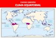 CLIMAS QUENTES CLIMA EQUATORIAL. CLIMA EQUATORIAL GRÁFICO TERMOPLUVIOMÉTRICO