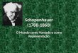 Schopenhauer (1788-1860) O Mundo como Vontade e como Representação