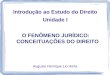Introdução ao Estudo do Direito Unidade I O FENÔMENO JURÍDICO: CONCEITUAÇÕES DO DIREITO Augusto Henrique Lio Horta