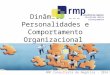 RMP Consultoria de Negócios - 2014 Dinâmica das Personalidades e Comportamento Organizacional Aplicado nos Negócios © resultado metas planejamento