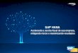 SAP HANA Acelerando a escrita fiscal de sua empresa, mitigando riscos e maximizando resultados