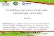 Mortalidade materna em adolescentes: epidemiologia e prevenção Equipe Participantes :Luiz Alberto Peregrino Ferreira - Heloisa Galloti Peixoto - Haimée
