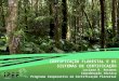 CERTIFICAÇÃO FLORESTAL E OS SISTEMAS DE CERTIFICAÇÃO Luciana R. Antunes Coordenação técnica Programa Cooperativo em Certificação Florestal
