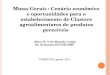 Minas Gerais : Cenário econômico e oportunidades para o estabelecimento de Clusters agroalimentares de produtos perecíveis Altivo R. A de Almeida Cunha