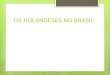 OS HOLANDESES NO BRASIL.. Os holandeses perceberam a vulnerabilidade que as colônias portuguesas instaladas no Brasil apresentavam e decidiram colocar