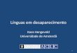 Línguas em desaparecimento Kees Hengeveld Universidade de Amsterdã